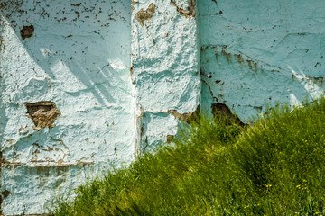 Green Grass Over Blue Cracked Wall