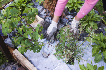 Naklejka premium Placing stones