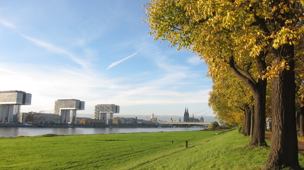 Köln im Herbst