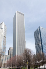 Fototapeta premium Chicago buildings