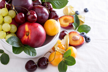 Fresh stone fruits in white bowl