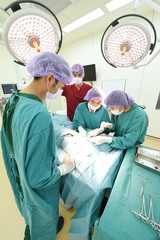 group of veterinarian surgery in operation room 