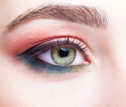 female eye zone and brows with day makeup