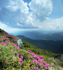 Carpathian Mountains. Panorama of the mountains