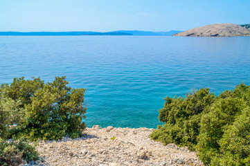 Fototapeta na wymiar Rocky coastline with bushes and crystal clear blue Adriatic sea