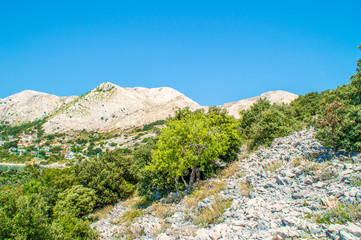 Rocky hills or mountains with some trees and bushes on asunny su