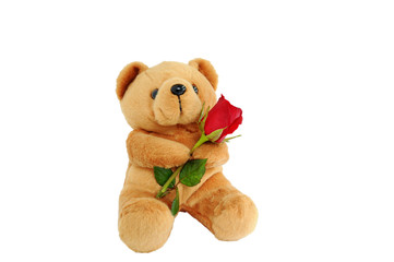 Bear doll holding a rose
