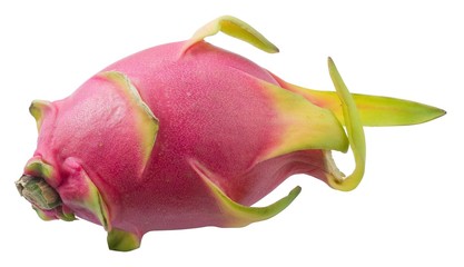 Fototapeta premium Fresh Dragon Fruit on A White Background