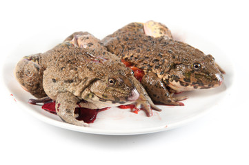 chop frog ready to eat on wood,Thailand