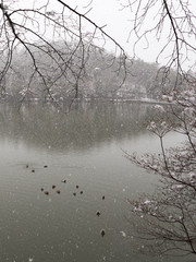 beautiful snow on the lake