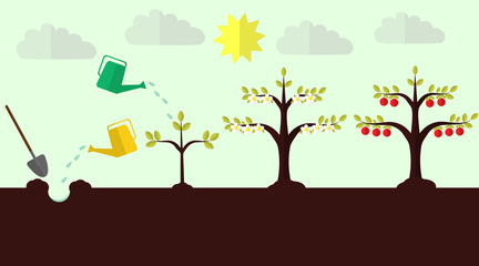 Planting apple trees flat vector