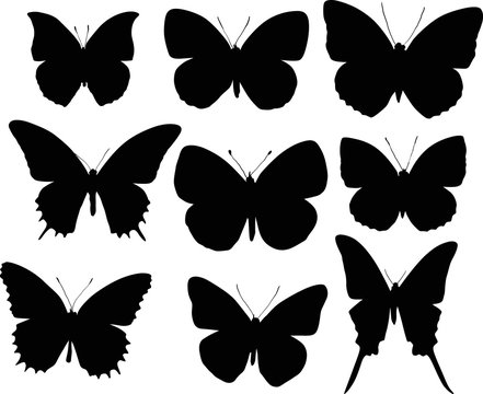 set of nine black butterfly wings shapes