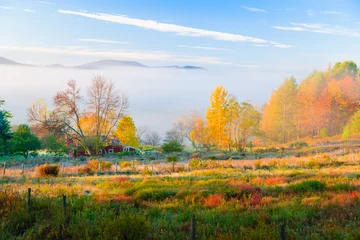 Foto op Plexiglas Herfst Rural country scene in the fall.