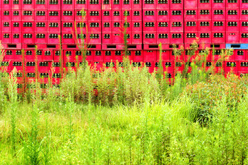 Fototapety na wymiar - Fototapeta24.pl