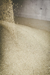 bio grain crop