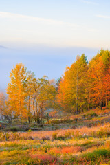 Fototapeta premium Rural country scene in the fall.