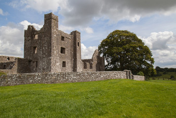 Fototapeta na wymiar Midieval abbey ruins. 