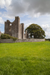Fototapeta na wymiar Midieval abbey ruins. Ireland.