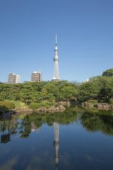 水面に映る東京スカイツリー