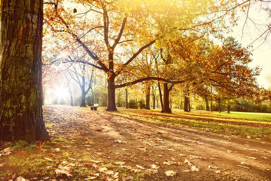 Fototapeta naturlandschaft im herbst 
