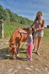 chercher le poney en pâture