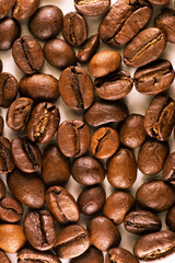 roasted coffee beans