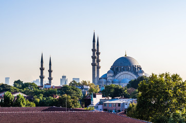 View on mosque in Istanbul