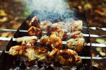 Closeup image of preparation of fresh tasty grilled shashlik 
