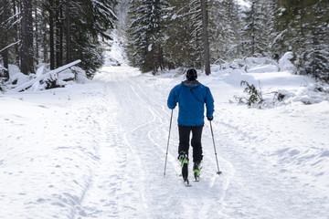 Winter mountain nordic walking accesories
