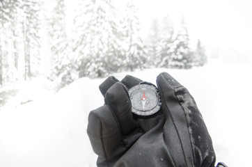 Winter mountain nordic walking accesories