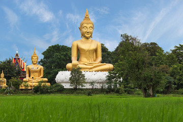 Fototapeta premium Golden Budha statue