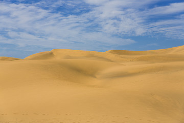 Obraz na płótnie Canvas Maspalomas Duna - Desert in Canary island Gran Canaria