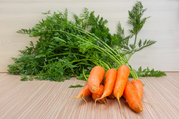 Fresh carrots with tops of vegetable