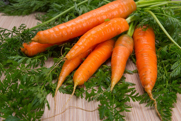 Fresh carrots with tops of vegetable