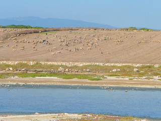 View of Mari Ermi sea