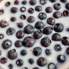 Fresh blueberries with milk