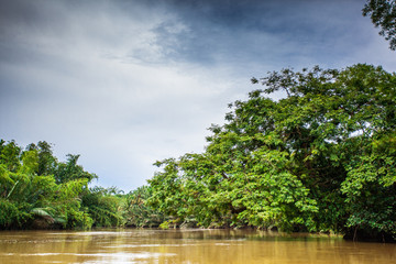 River in tropical rain forest