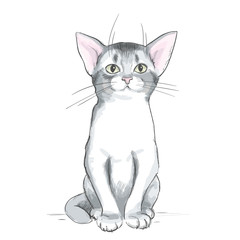 Obraz premium A cat. Vector illustration 