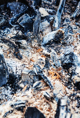 Burnt coal and sawdust taken at close range
