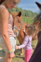 chercher le poney en pâture