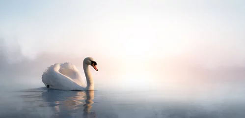 Photo sur Plexiglas Cygne Art beau paysage avec un cygne flottant sur le lac