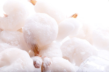 Beautiful Frozen Raw Shrimp Isolated on White Background.