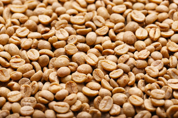 Green Coffee Beans for Background Uses.