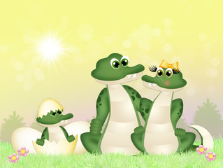 family of crocodiles