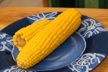 Corn on plate