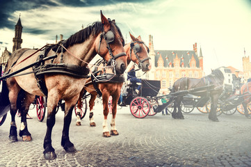 Naklejka na ściany i meble Horse-drawn carriages on the Old Market square. Bruges, Belgium