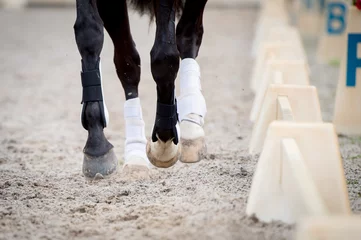 Abwaschbare Fototapete Reiten Closeup of horse hooves in gallop during a training with a white fence.