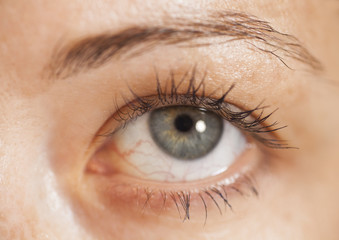Closeup shot of woman eye with makeup