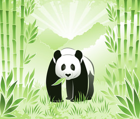 Meet the Bamboo Panda. A panda bear in bamboo grove against mountain landscape background.
