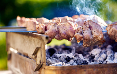 Barbecue skewers with meat